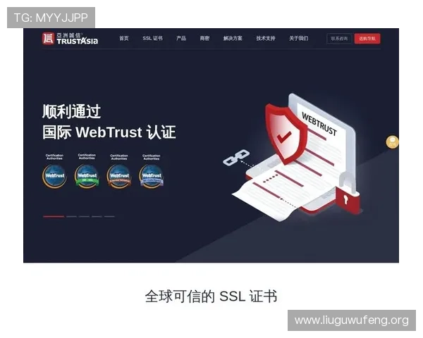 如何通过亚洲诚信网站服务器查询确保游戏体验的安全性与稳定性