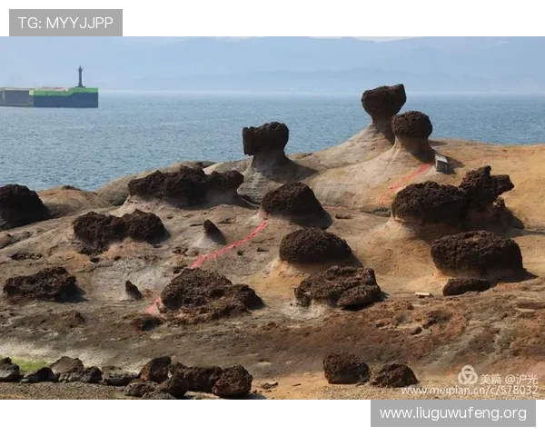 168幸运飞艇官方开奖时间及中奖规则详解让你轻松掌握投注节奏