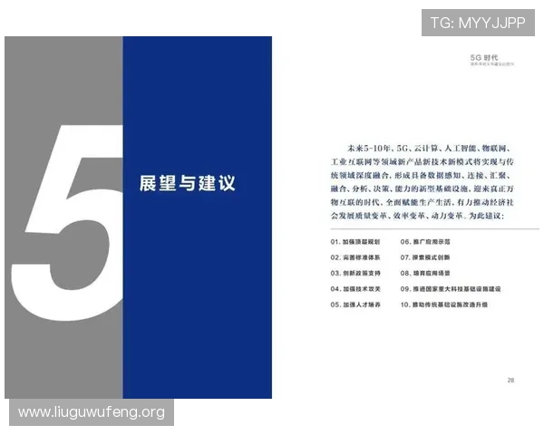 5g智能电网白皮书PDF全文解读促进智能电网技术创新与行业升级